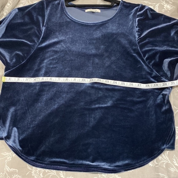 MADEWELL Blue Velvet Top EUC - Picture 10 of 11